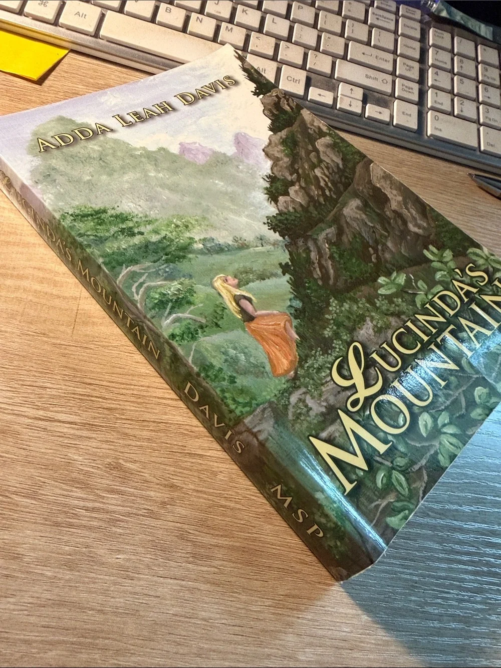 Lucinda's Mountain Coffee Table Book – Green & Orange Illustrated Cover